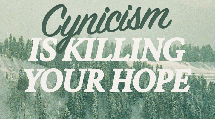the cynicism safety blanket