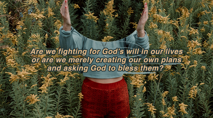 Who is Following Who?