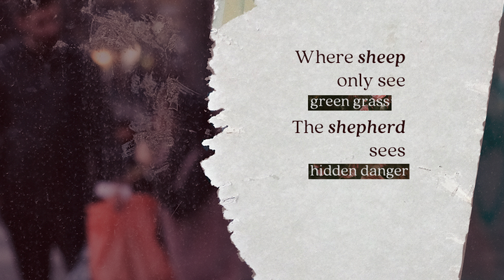 Sheep Always Need a Shepherd