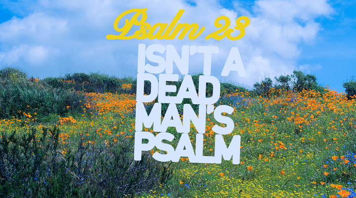 with you in the wilderness