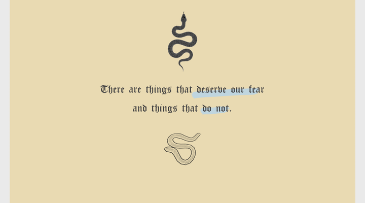 Be Careful What You Fear