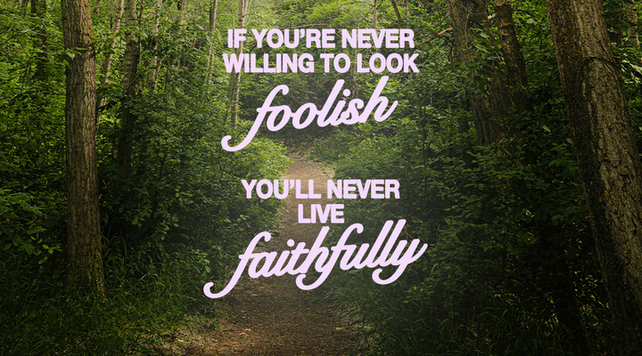 you haven't seen anything yet